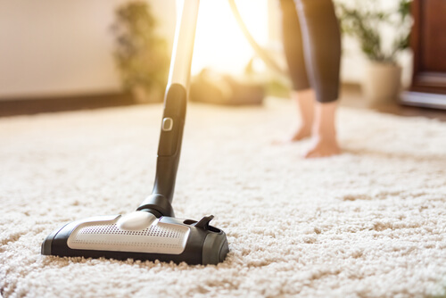 vacuum cleaner cleaning carpet
